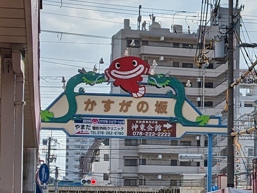 031129506-3.jpg
