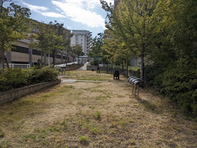 055848943-2.jpg