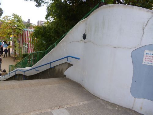 P1010170-2.JPG