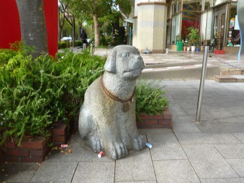 P1020293-2.jpg