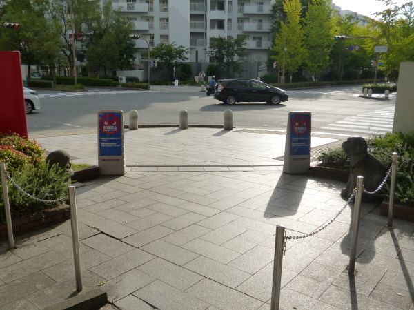P1020297-2.jpg